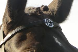 Stirnriemen mit Monogramm