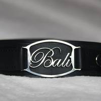 Monogramm Hundehalsband